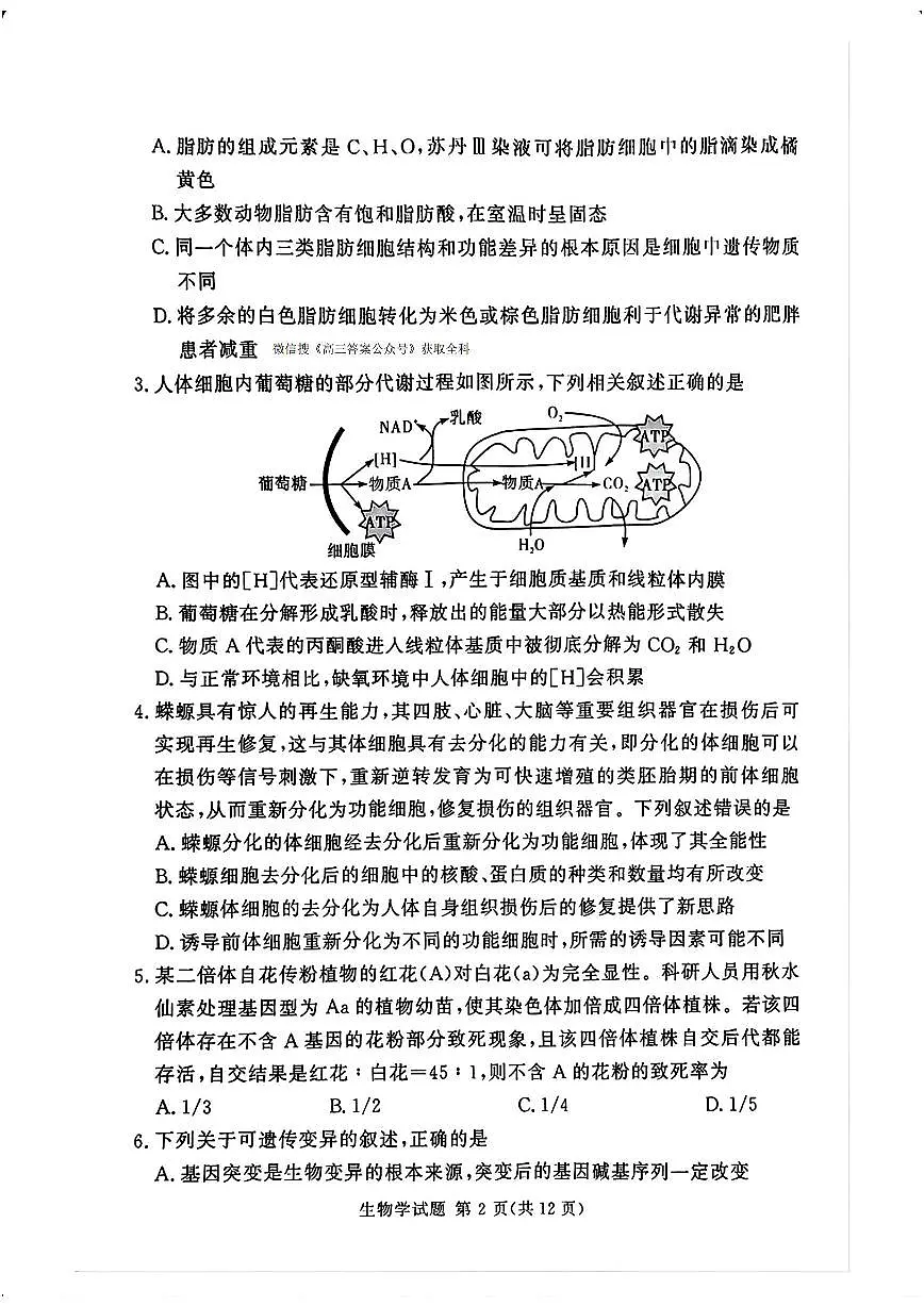 湖南三湘名校教育联盟2025年高考二模生物试题及答案第2页