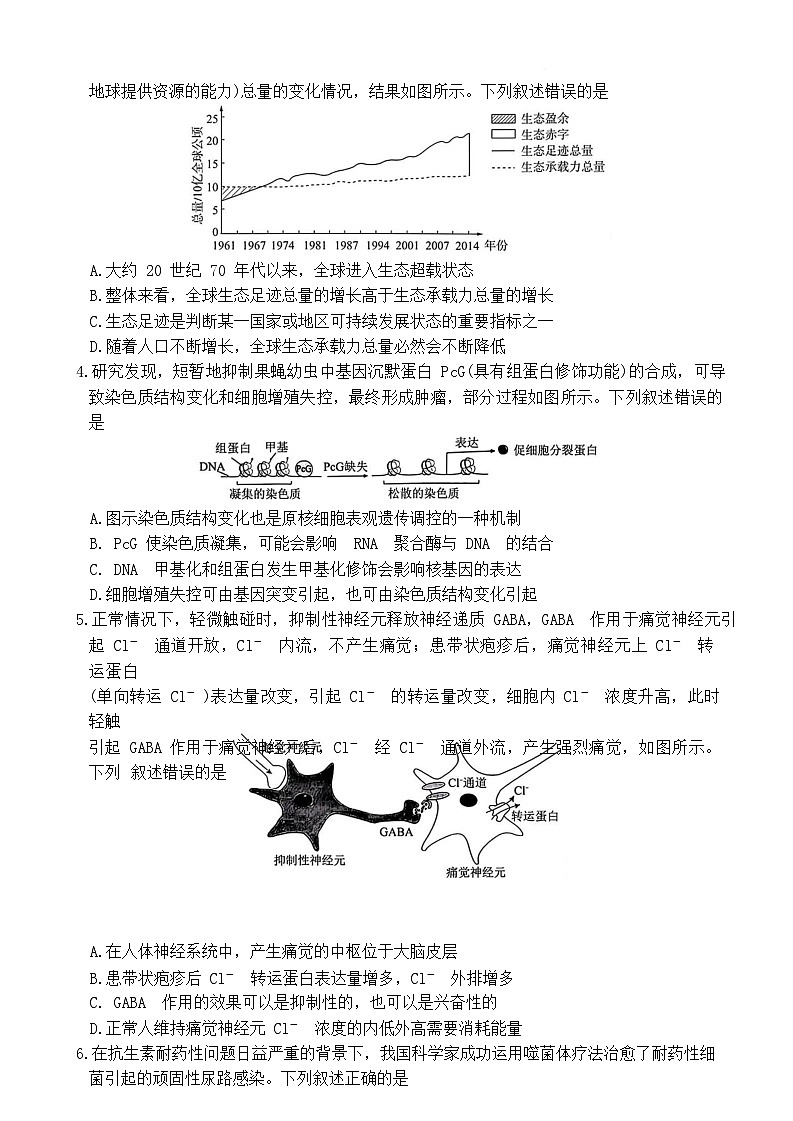 湖北省华大新高考联盟2025届高三下学期3月教学质量测评生物试题 含解析第2页