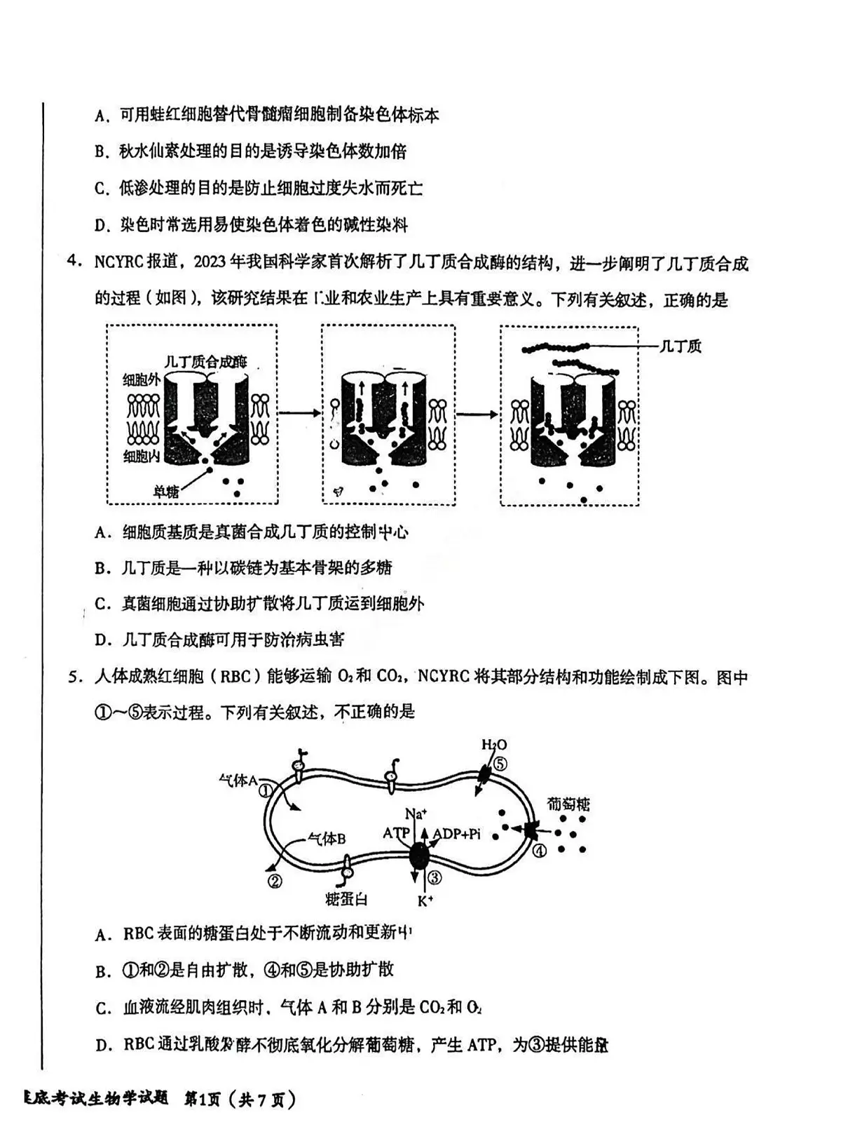 2024届吉林省东北师范大学附属中学高三上学期第三次摸底(11月)-生物试题（含答案）第2页