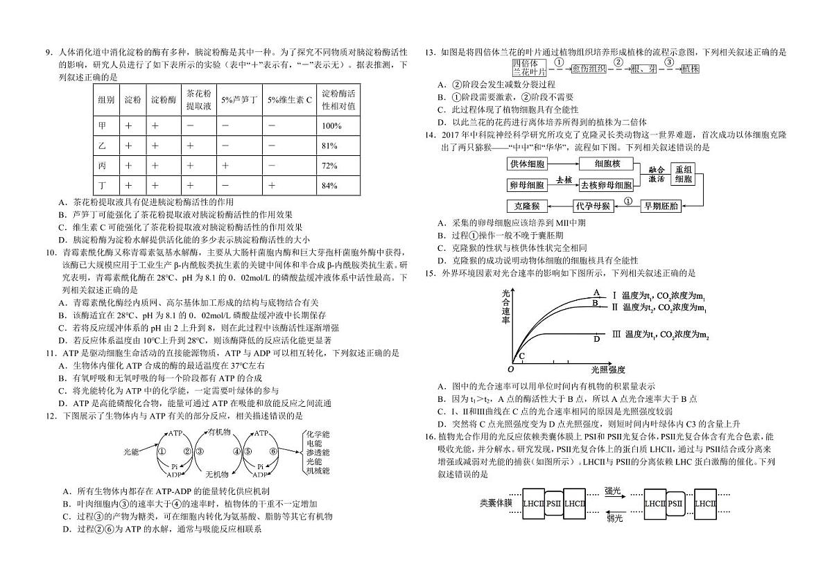 2024届吉林省长春外国语学校高三上学期9月月考-生物试题（含答案）第2页
