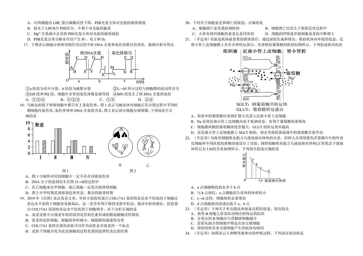 2024届吉林省长春外国语学校高三上学期9月月考-生物试题（含答案）第3页