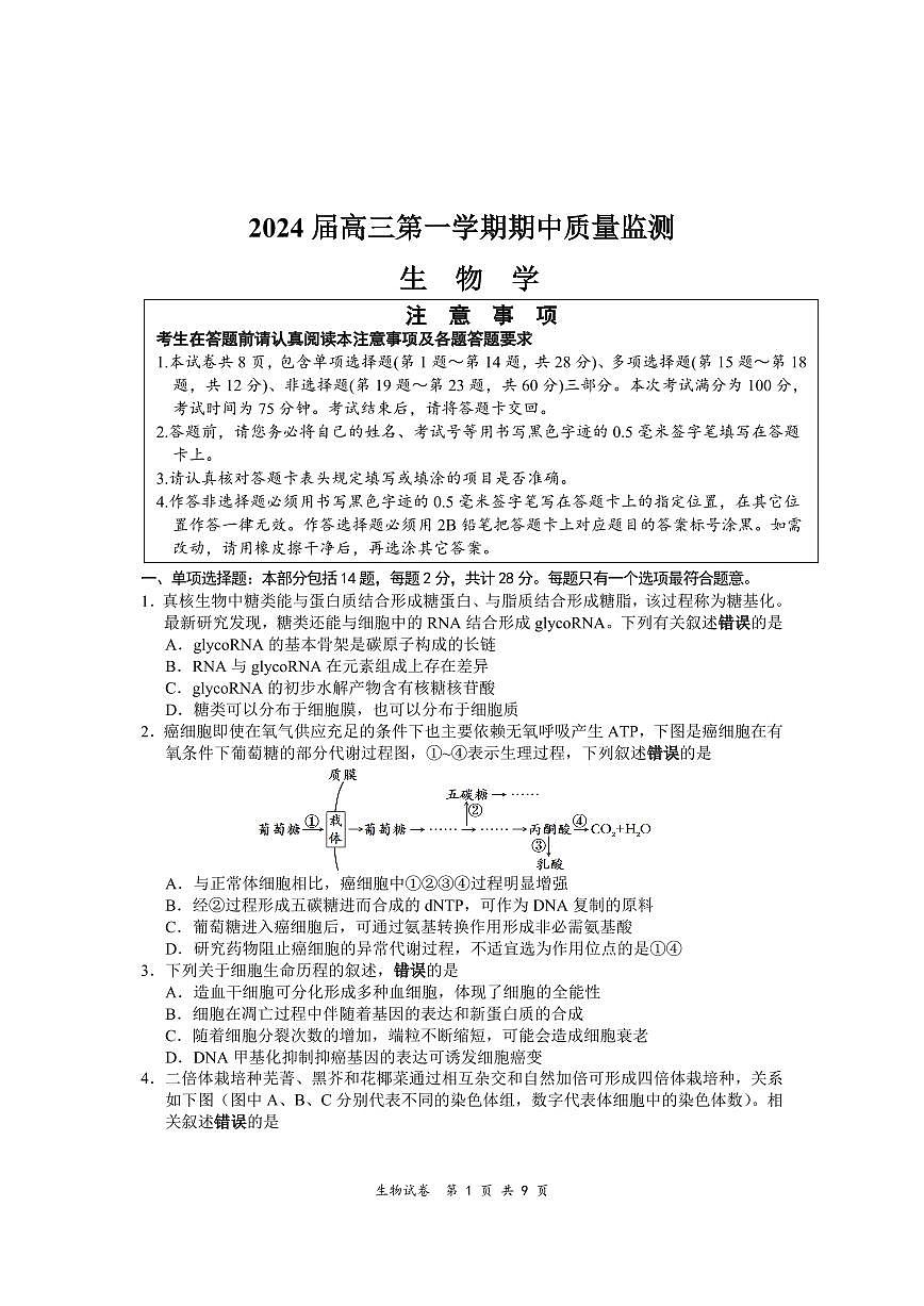 2024届江苏淮安南通联考高三上学期11月期中监测-生物试题（含答案）第1页