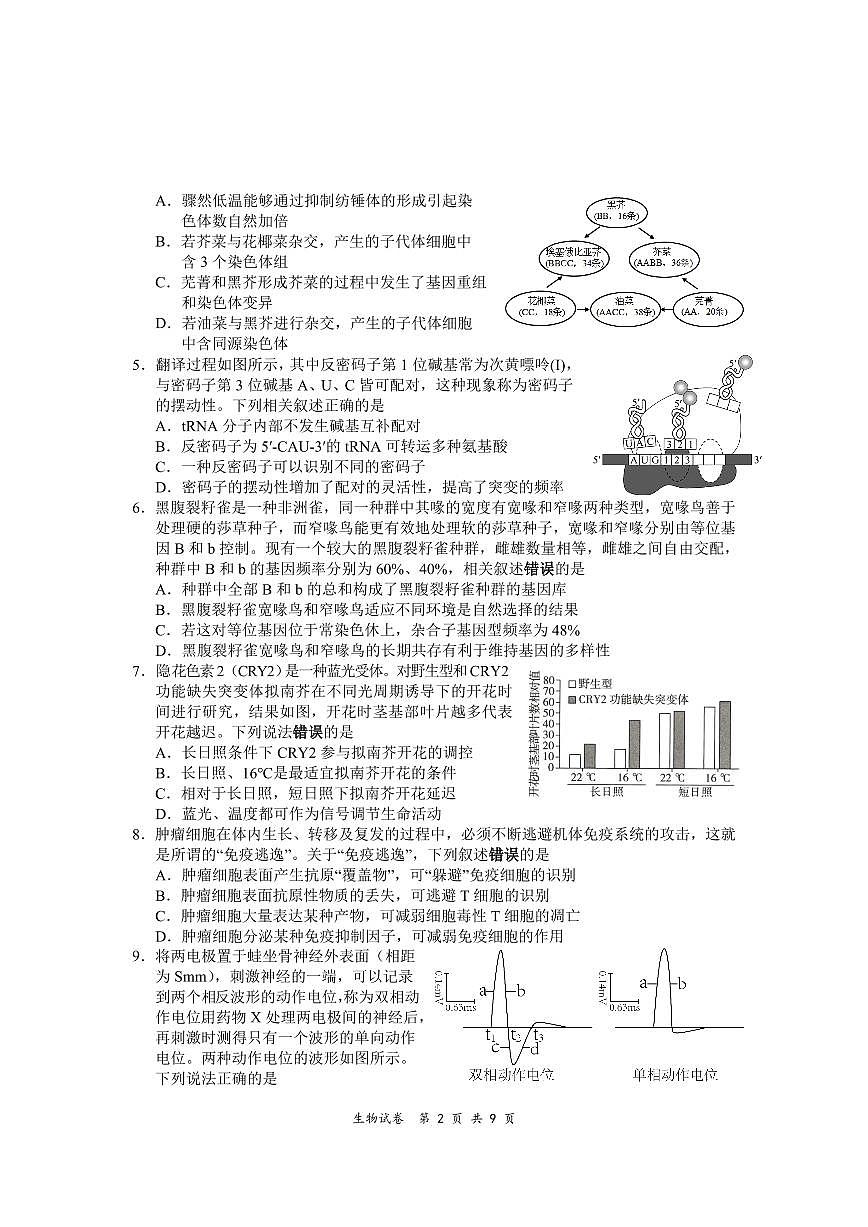 2024届江苏淮安南通联考高三上学期11月期中监测-生物试题（含答案）第2页