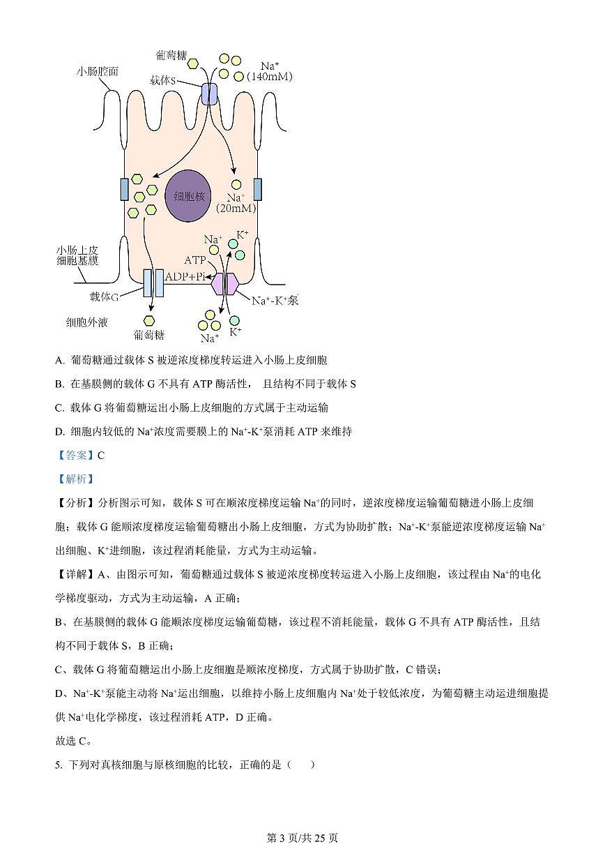 2024届江苏南京江宁高二下学期（期末考）-生物试题（含答案）第3页