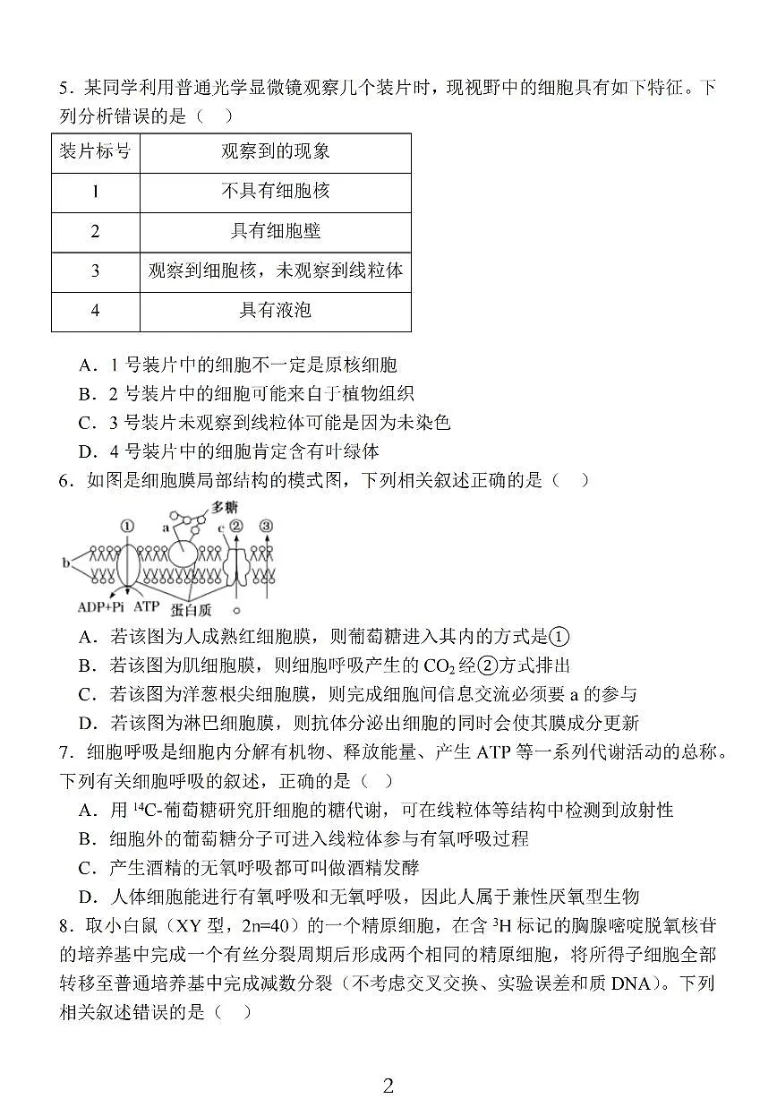 2024届江苏省南通市高三上学期期中考试考前模拟卷-生物试题（含答案）第2页