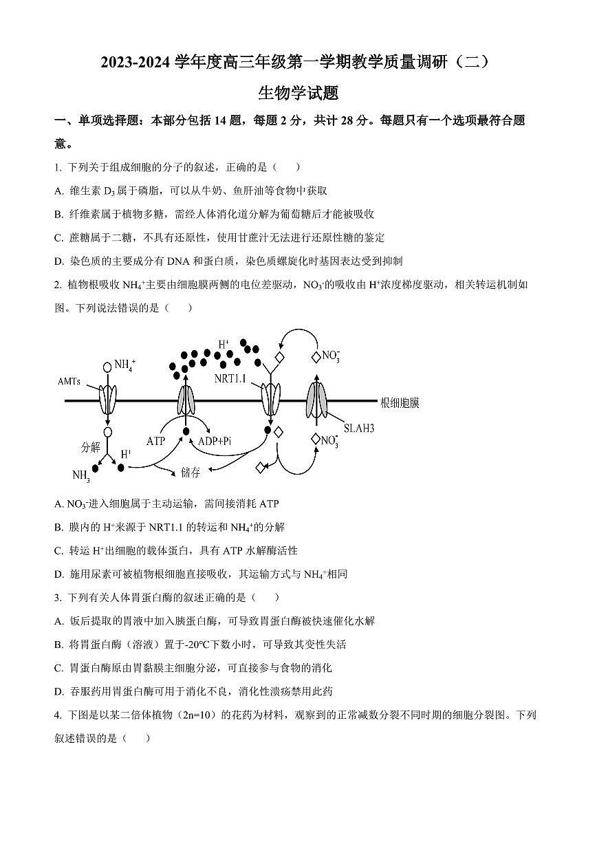 2024届江苏省如皋市高三上学期期中考试(11月)-生物试题（含答案）第1页
