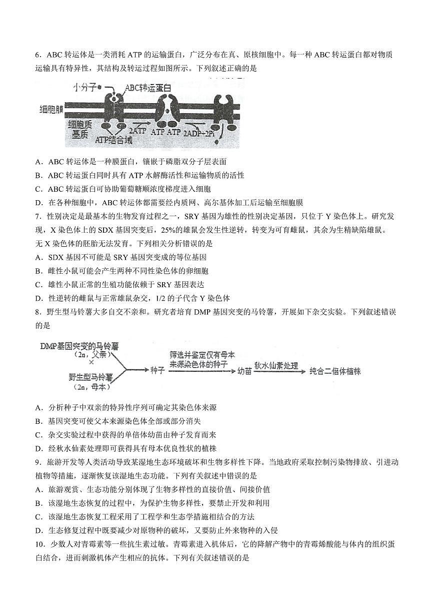 2024届江苏省泰州中学、宿迁中学、宜兴中学高三上学期12月调研测试-生物试题（含答案）第2页