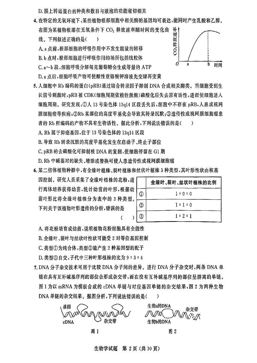 山东大教育联盟2025届高三高考模拟第二次质量检测-生物试题无答案第2页