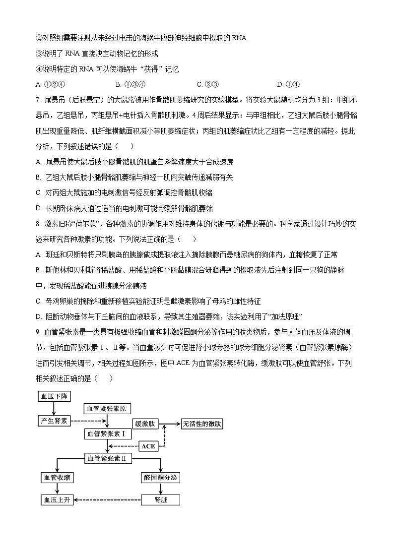 河南省南阳市2024-2025学年高二上学期1月期末考试生物试卷  Word版无答案第3页
