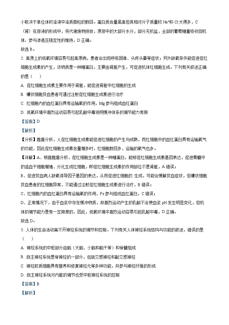 河南省南阳市2024-2025学年高二上学期1月期末考试生物试卷  Word版含解析第2页