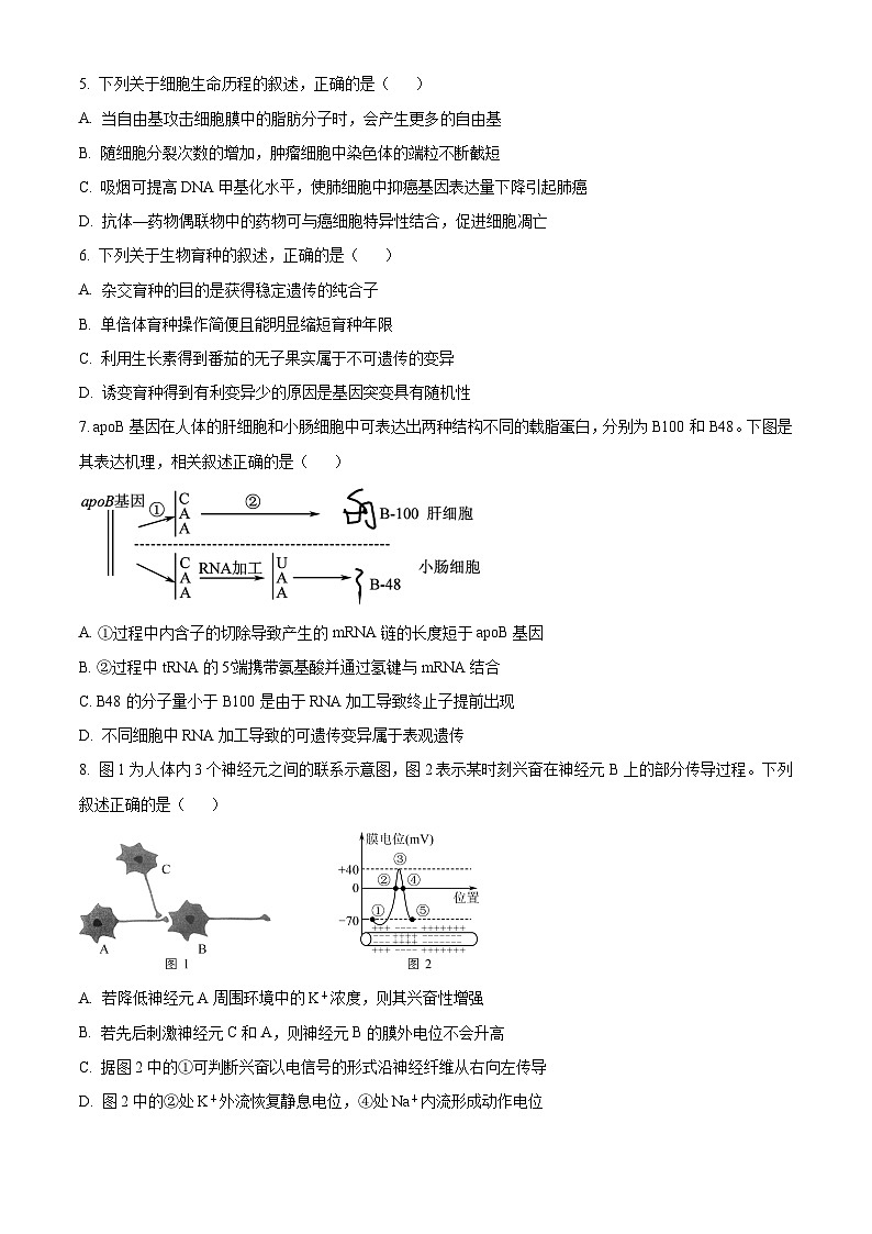 江苏省镇江市2024-2025学年高三下学期开学质量监测生物试题 Word版无答案第2页