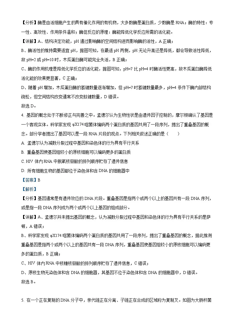 2025届河南省安阳市高三一模生物试题 Word版含解析第3页