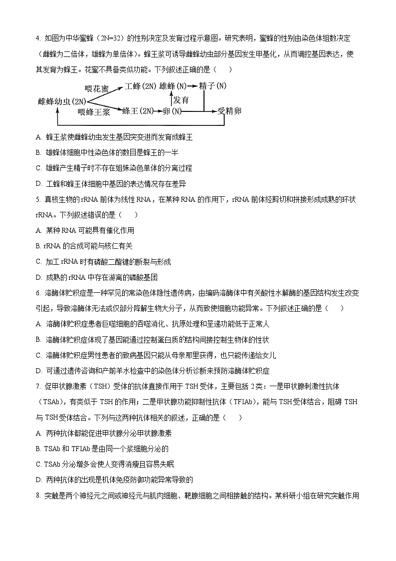 江西省萍乡市2024-2025高三下学期一模考试生物试题 Word版无答案第2页