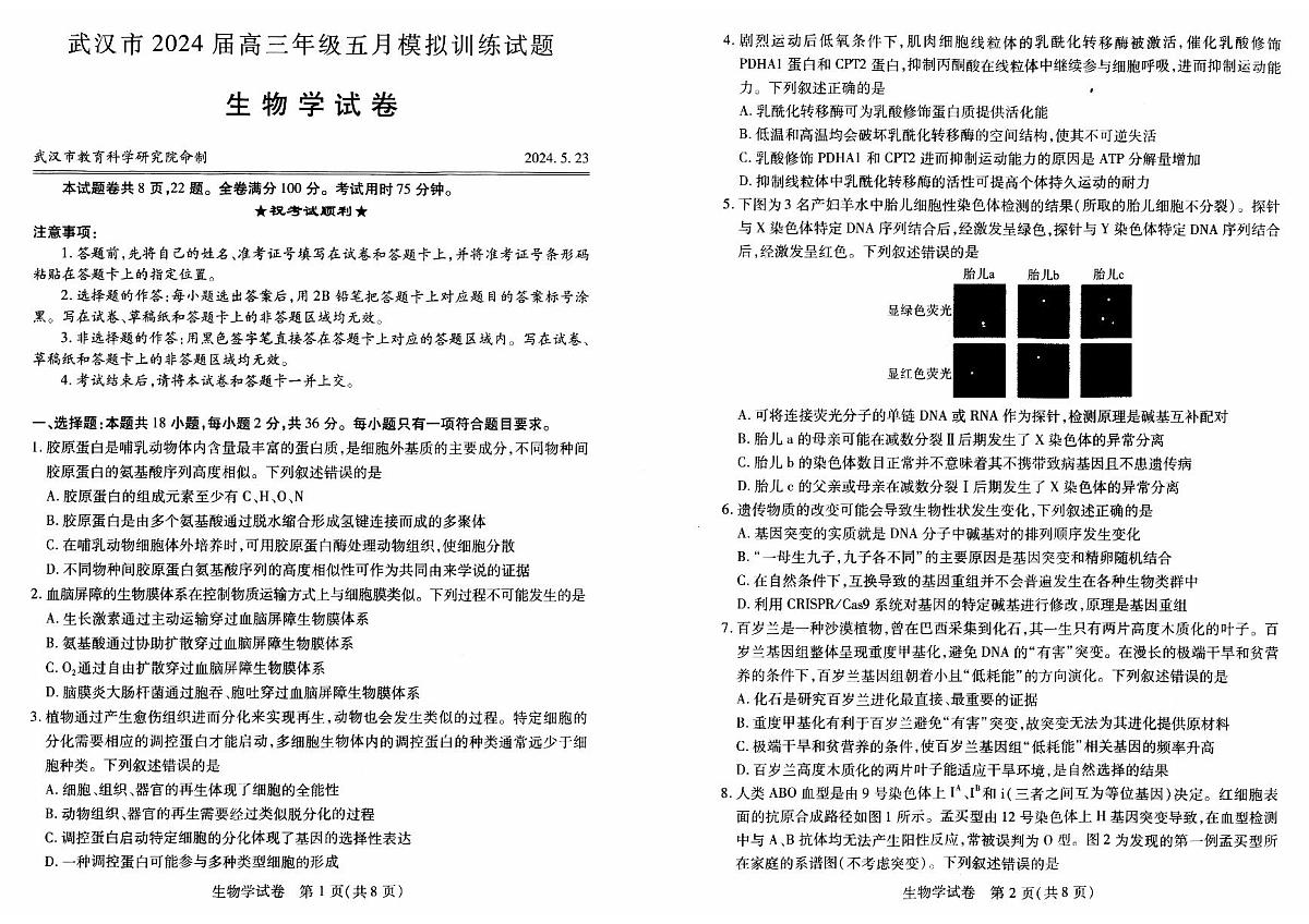2024届湖北省武汉市高三5月模拟训练-生物试卷（含答案）第1页