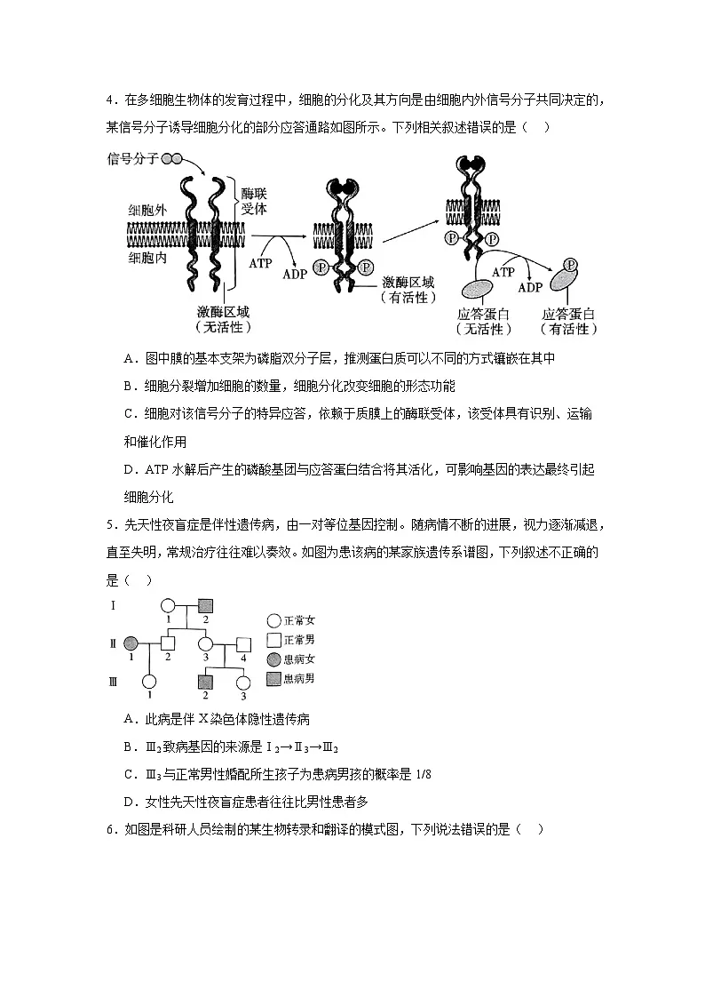 2025届贵州省贵阳市七校高三下学期联考生物试题（无答案）第2页