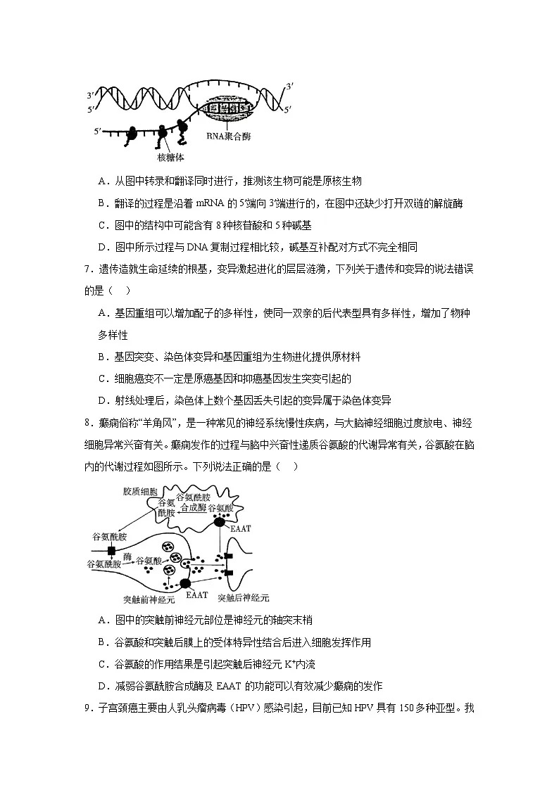 2025届贵州省贵阳市七校高三下学期联考生物试题（无答案）第3页