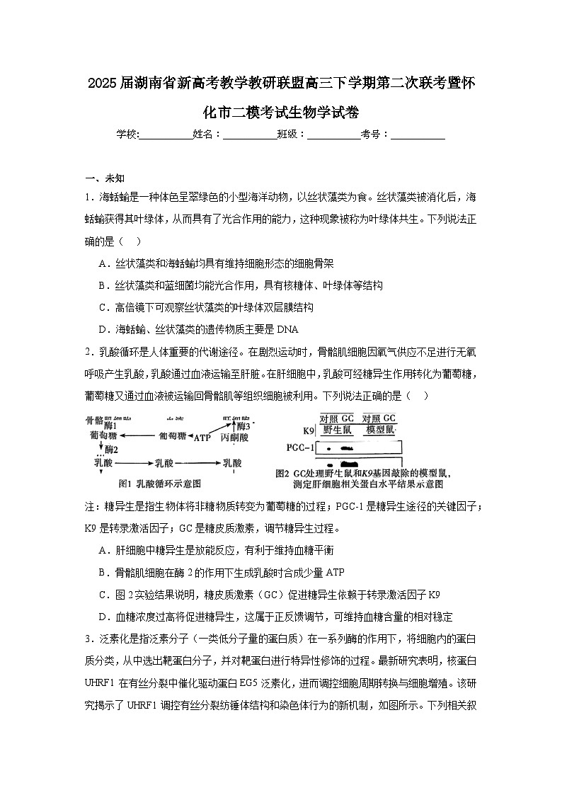 2025届湖南省新高考教学教研联盟高三下学期第二次联考暨怀化市二模考试生物学试卷（无答案）第1页