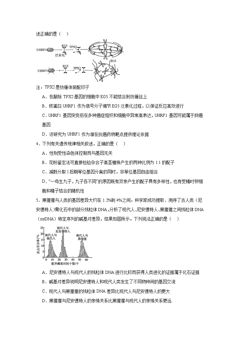 2025届湖南省新高考教学教研联盟高三下学期第二次联考暨怀化市二模考试生物学试卷（无答案）第2页