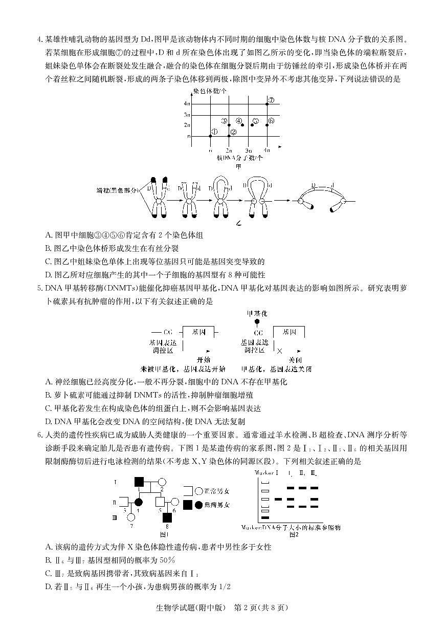 2024届湖南省师范大学附属中学高三月考(六)(2月)-生物试题（含答案）第2页