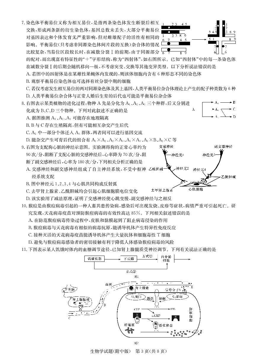 2024届湖南省师范大学附属中学高三月考(六)(2月)-生物试题（含答案）第3页