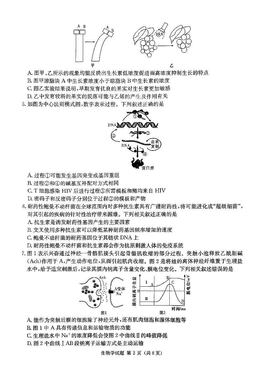 2024届湖南省炎德高三5月考前仿真二-生物试卷（含答案）第2页