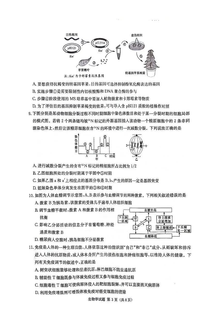 2024届湖南省炎德英才高三5月考前仿真(三)-生物试卷（含答案）第3页
