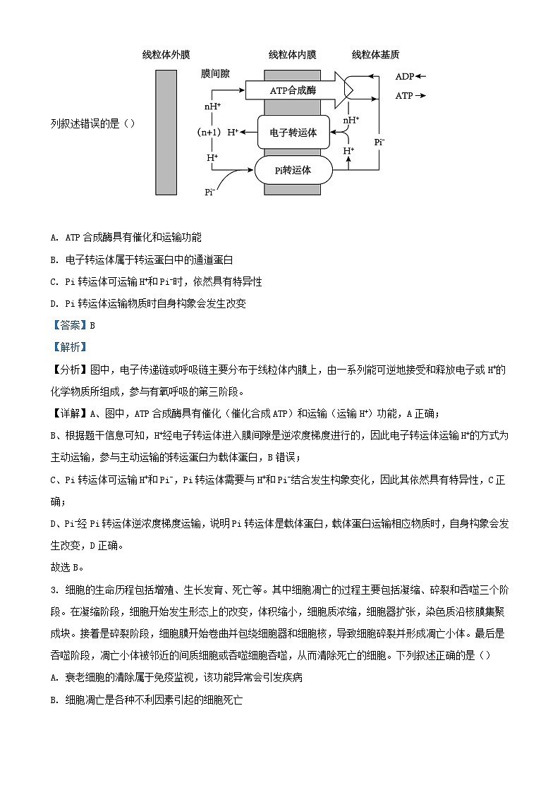 安徽省池州市2024届高三生物下学期模拟考试模拟预测试题含解析第2页