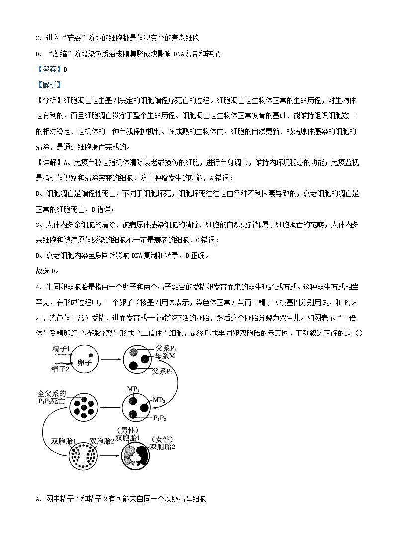 安徽省池州市2024届高三生物下学期模拟考试模拟预测试题含解析第3页