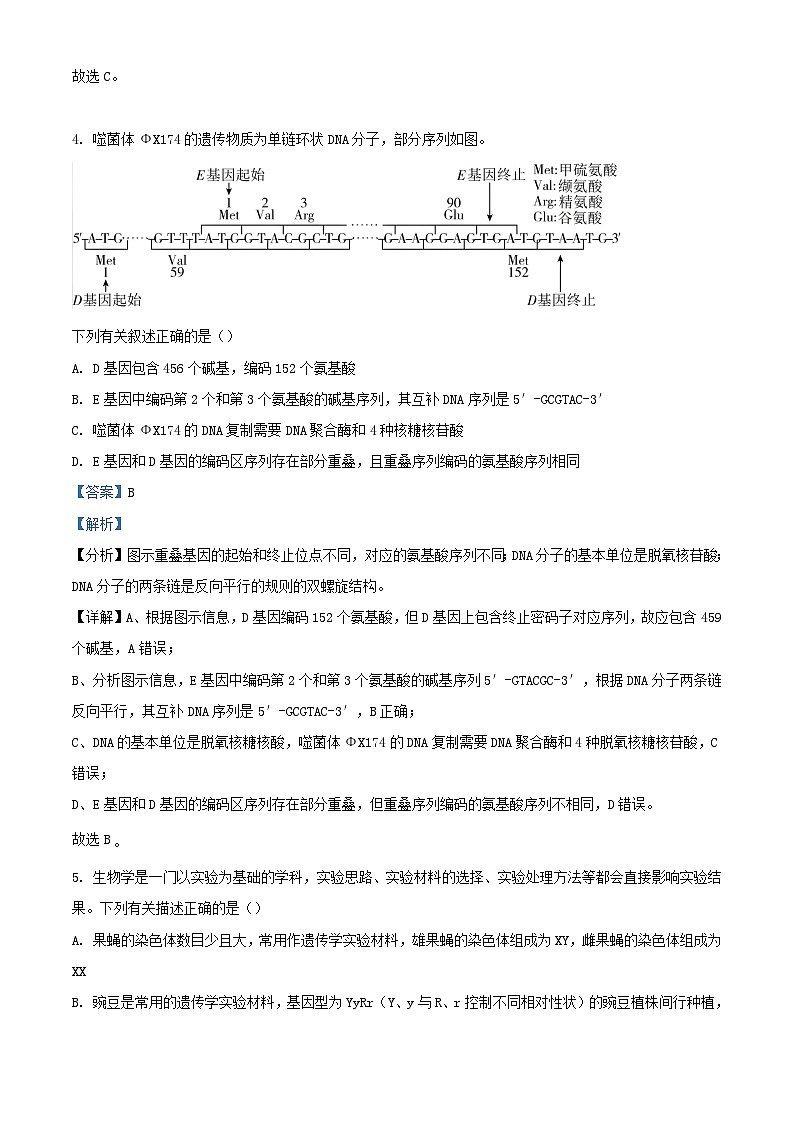 安徽省合肥市2024届高三生物保温一模试题含解析第3页