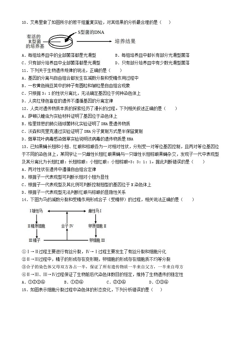广东省2023_2024学年高一生物下学期第二次月考试题含解析第3页