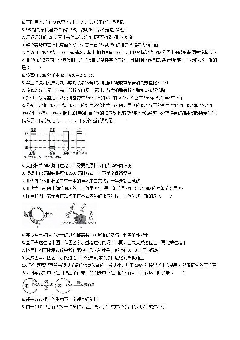 河南省濮阳市2023_2024学年高一生物下学期5月调研考试含解析第2页