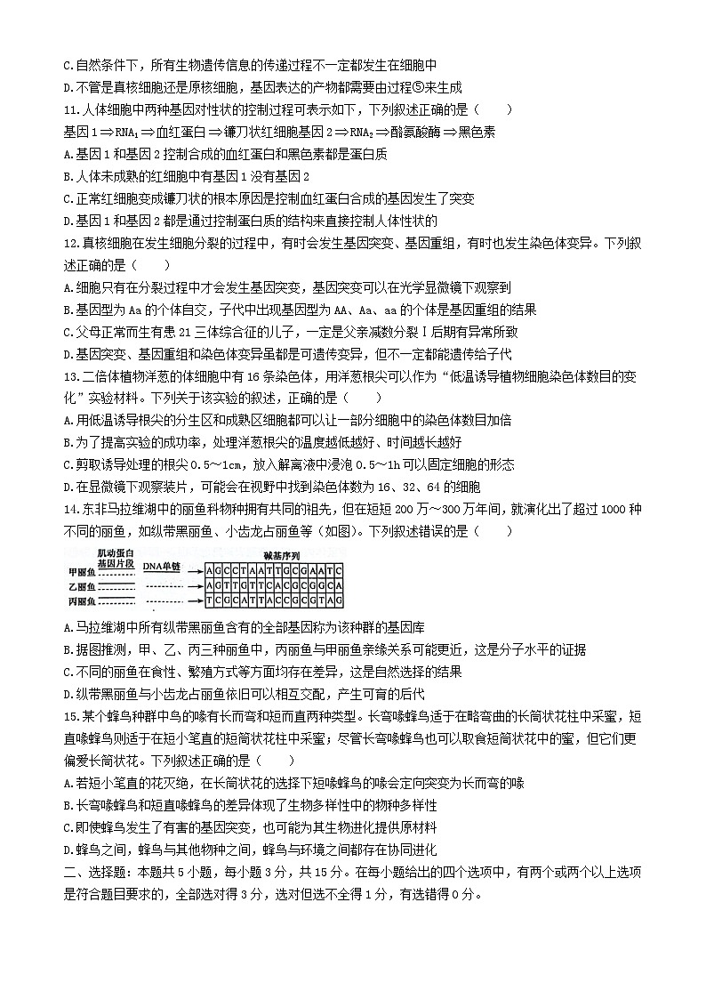 河南省濮阳市2023_2024学年高一生物下学期5月调研考试含解析第3页