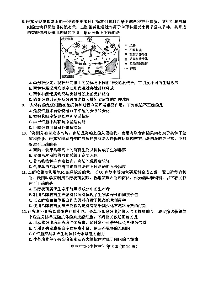 北京市海淀区2024届高三下学期二模考试生物试题 含答案第3页