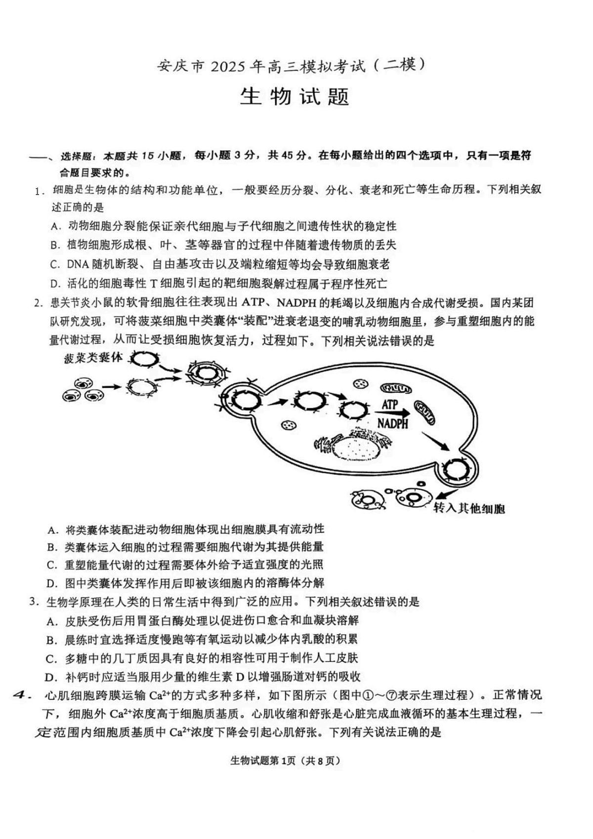 2025届安徽省安庆市高三二模生物试题第1页