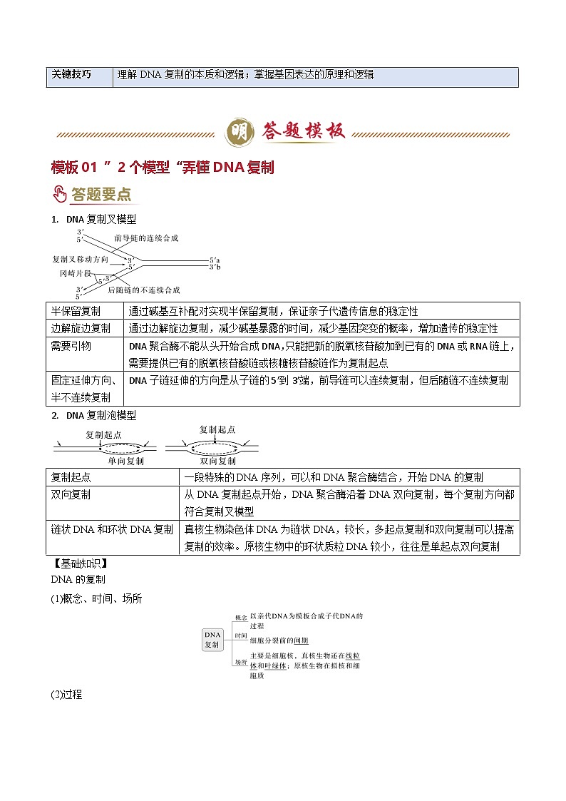 2025年高考生物复习专题复习专题05 遗传的分子基础（解析版）练习第2页