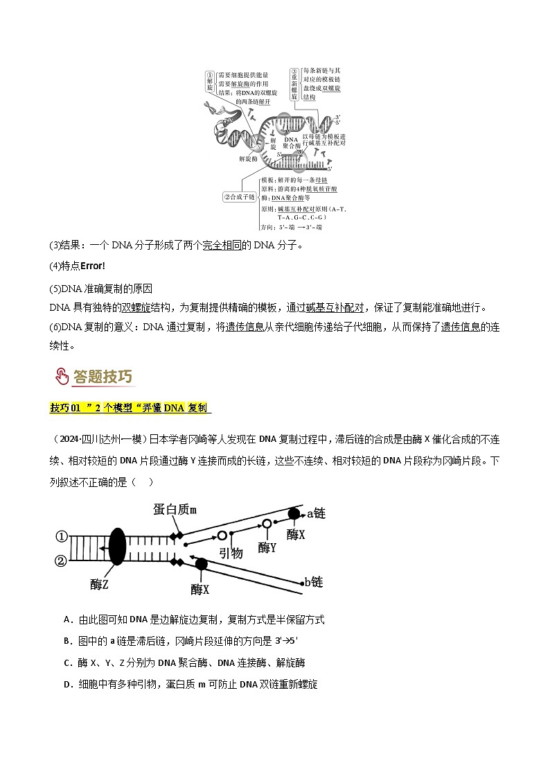 2025年高考生物复习专题复习专题05 遗传的分子基础（解析版）练习第3页