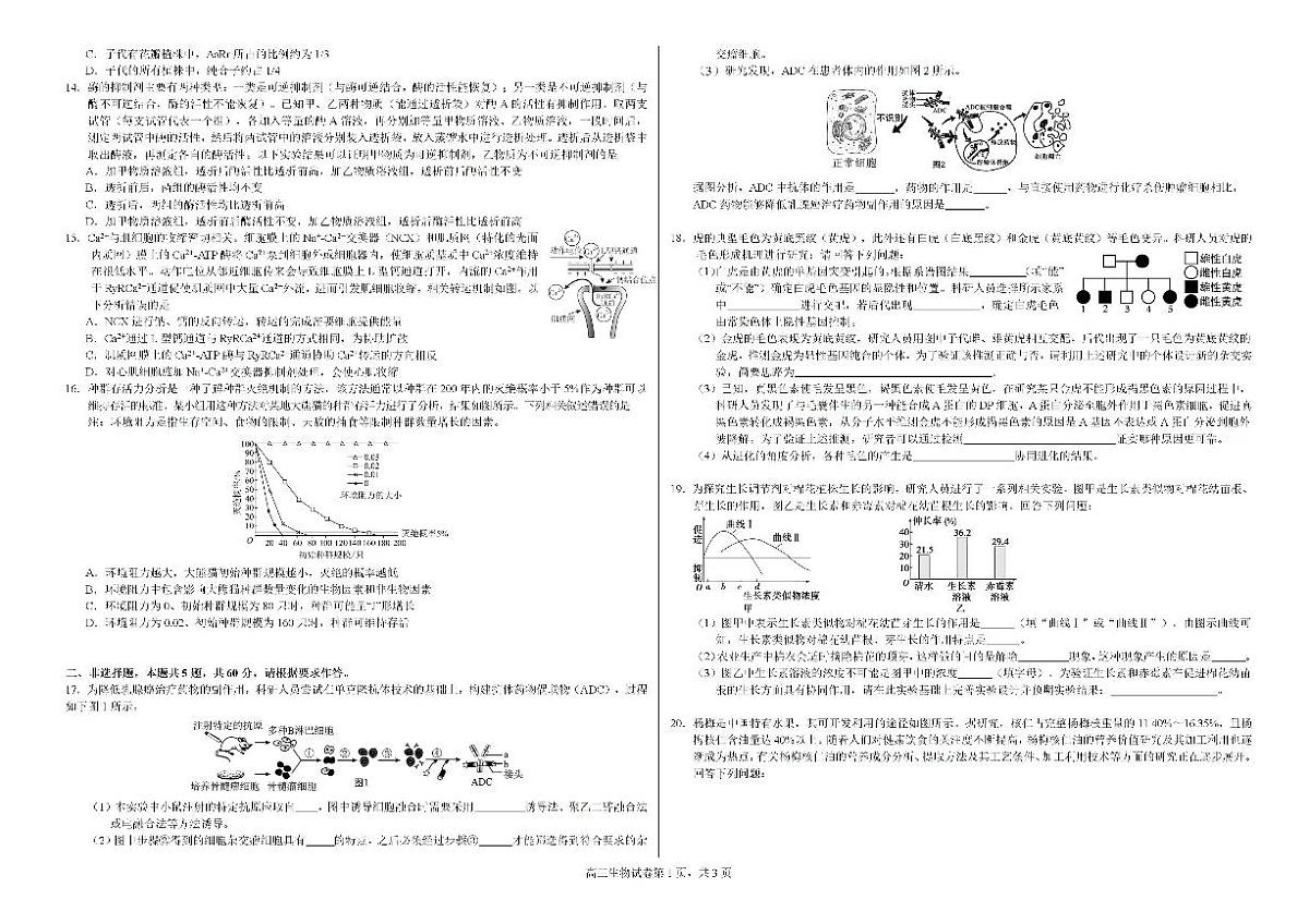 2025届广西钦州市示范性高中高三上学期开学考试生物试题+答案第2页
