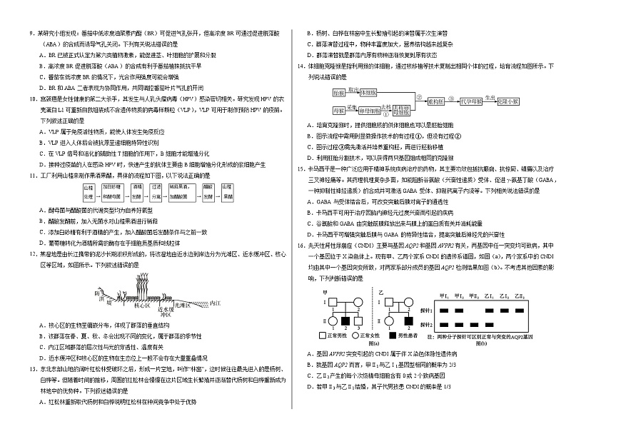 河北省邢台市名校协作体2025届高三下学期一模试题 生物 含解析第2页