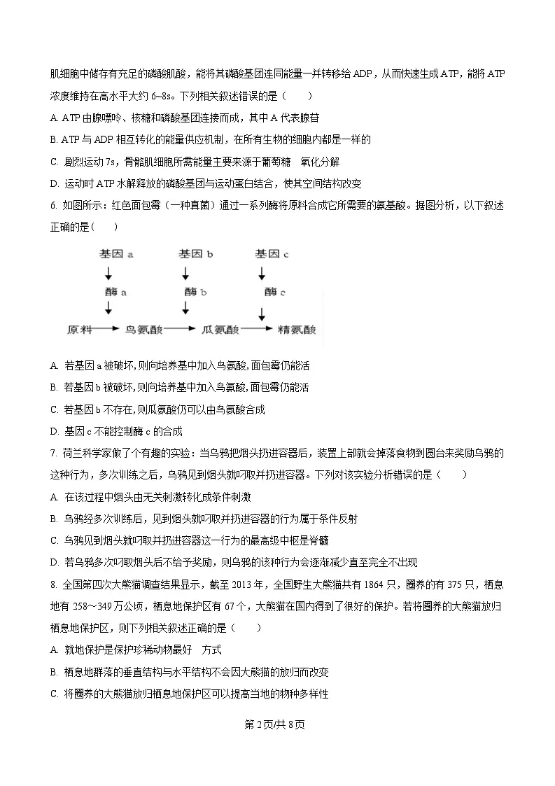 2025届广东省第一次模拟考试一模生物试题（原卷版）第2页