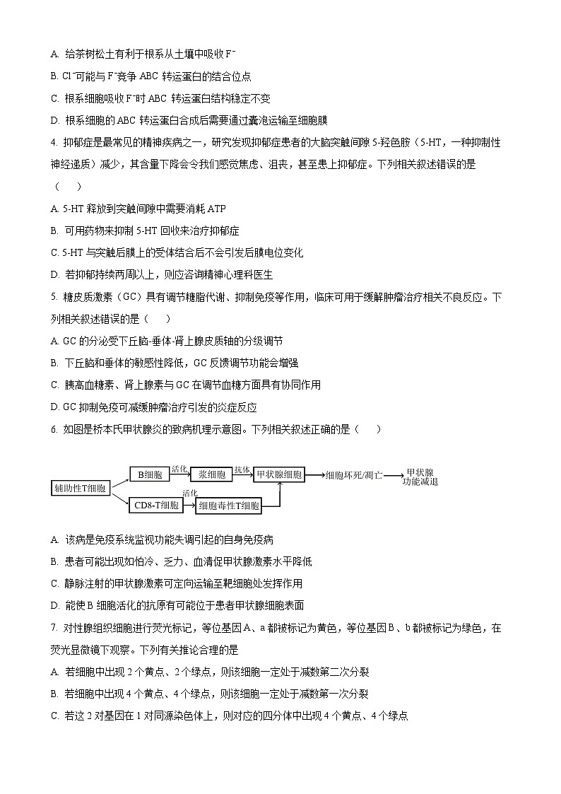 广东省梅州市2025届高三下学期2月质检测试生物试卷（原卷版）第2页
