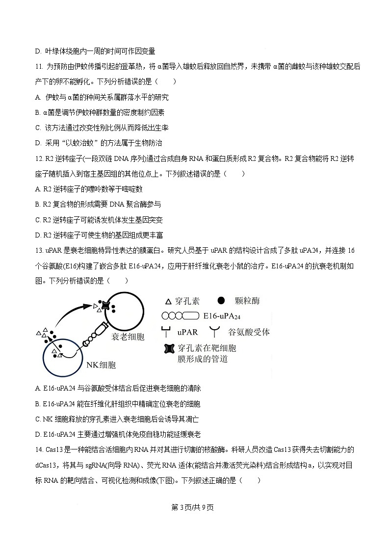 广东省汕头市2025届高三下学期第一次模拟考试生物学科试题（原卷版）第3页