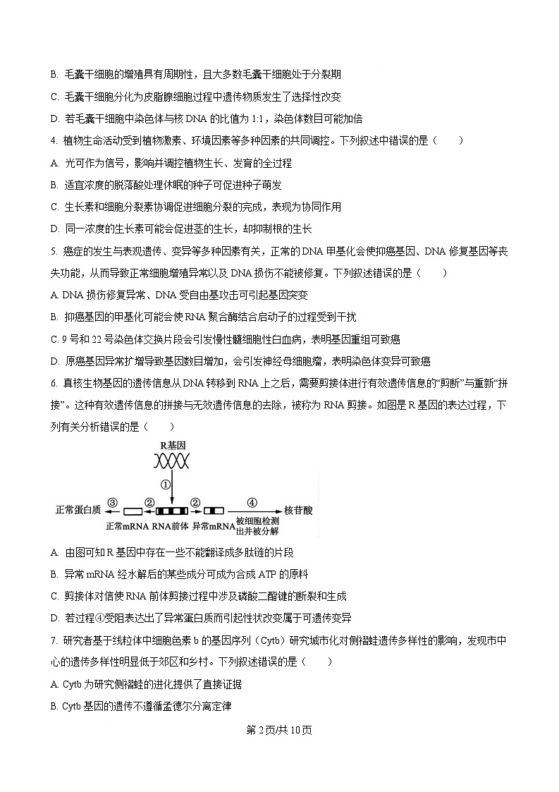 2025届吉林省延边朝鲜族自治州高三一模生物试题（原卷版）第2页