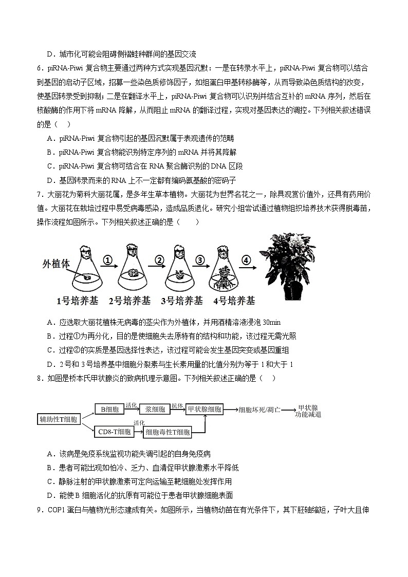 信息必刷卷02（广东专用）（原卷版）第3页