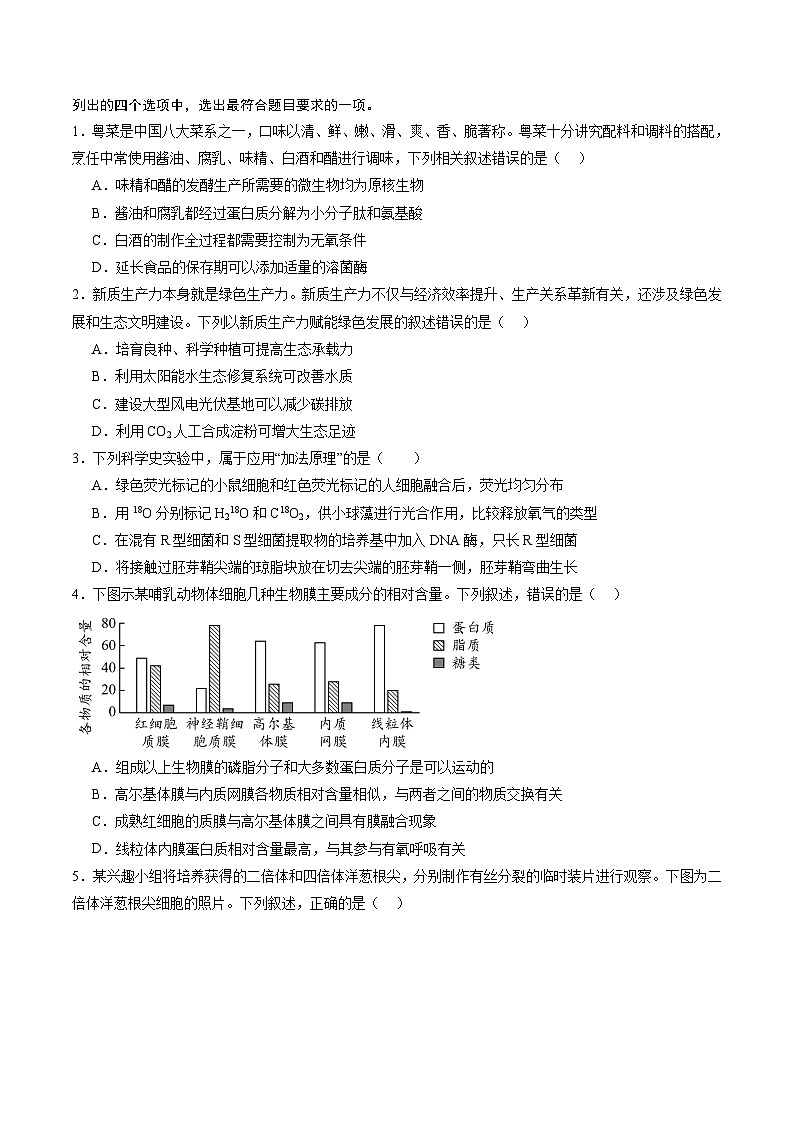 信息必刷卷05（广东专用）（原卷版）第2页