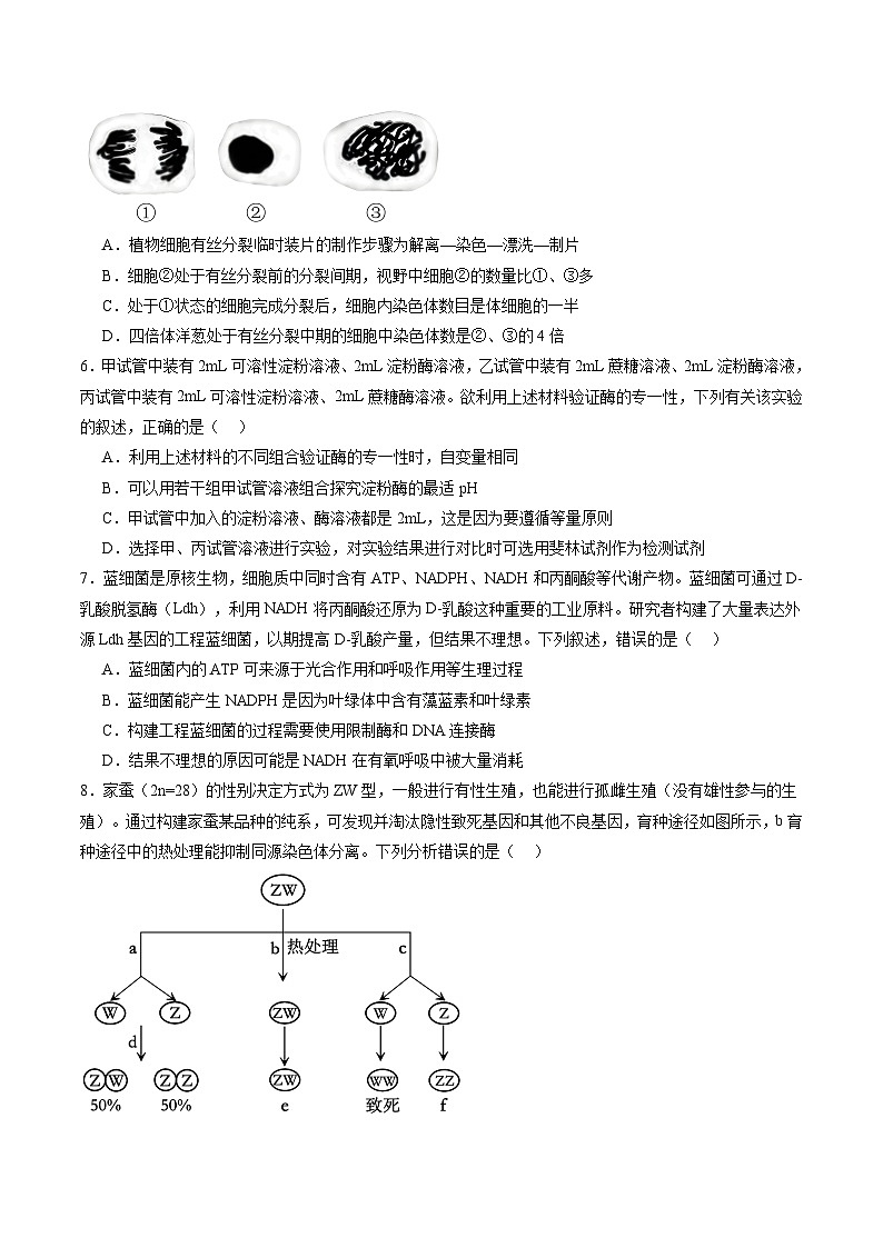 信息必刷卷05（广东专用）（原卷版）第3页