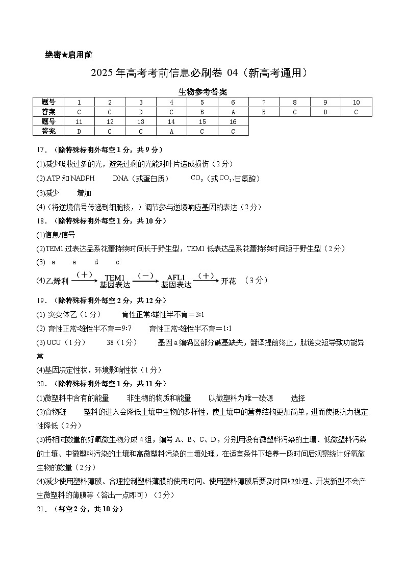 信息必刷卷04（新高考通用）答案第1页