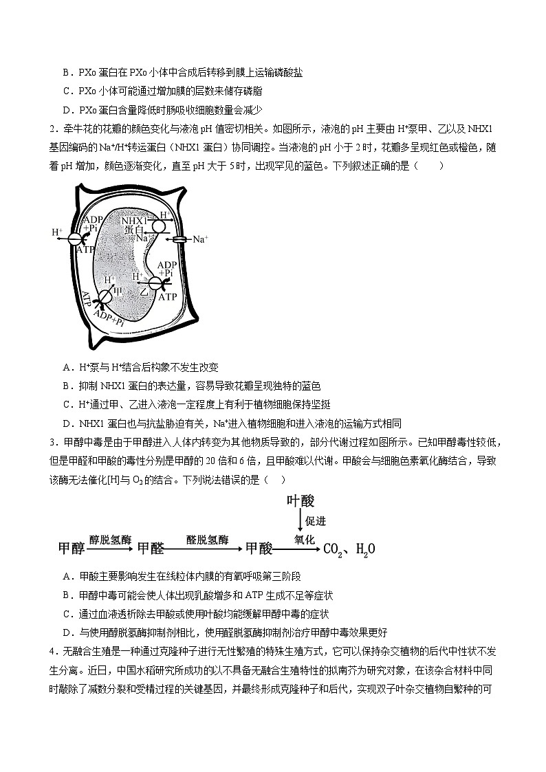 信息必刷卷04（新高考通用）原卷版第2页
