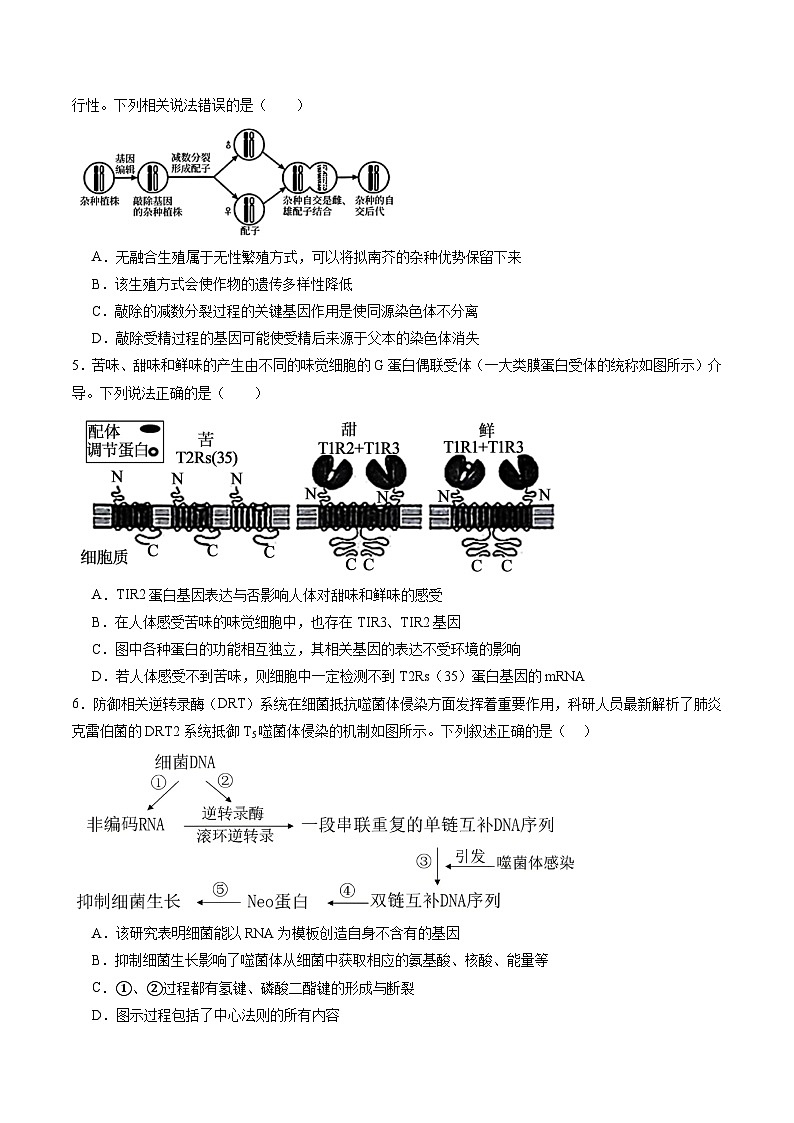 信息必刷卷04（新高考通用）原卷版第3页