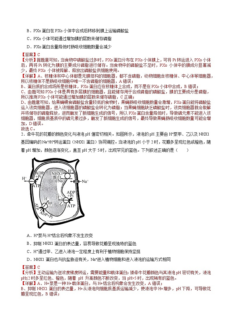 信息必刷卷04（新高考通用）解析版第2页