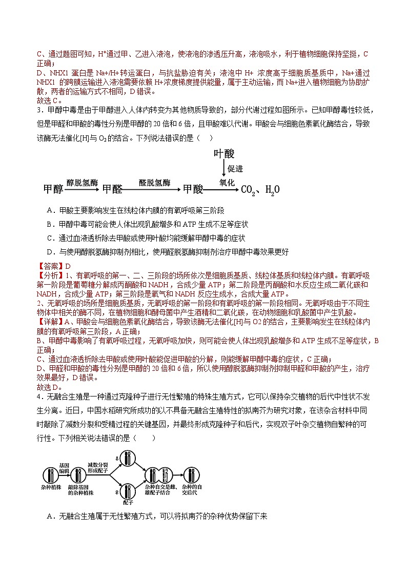信息必刷卷04（新高考通用）解析版第3页